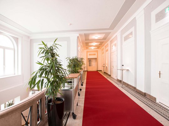 Seminarräume im Hotel Böhlerstern: der Theatersaal Heller Flur mit roten Teppich, weißen Wänden, Türen und grünen Pflanzen in schwarzen Töpfen
